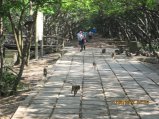 319-IMG_1847.JPG.small.jpeg