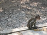 320-IMG_1848.JPG.small.jpeg