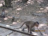 321-IMG_1849.JPG.small.jpeg