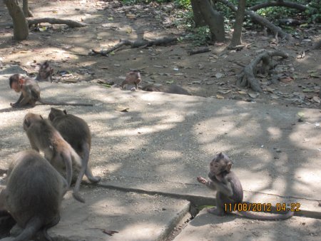 323-IMG_1851.JPG.medium.jpeg