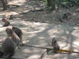 323-IMG_1851.JPG.small.jpeg