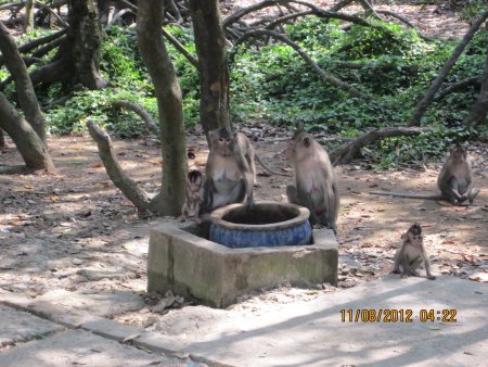 324-IMG_1852.JPG.medium.jpeg