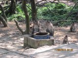 324-IMG_1852.JPG.small.jpeg