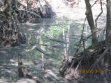 325-IMG_1853.JPG.small.jpeg