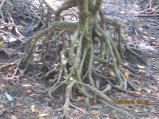 326-IMG_1854.JPG.small.jpeg