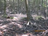 328-IMG_1857.JPG.small.jpeg