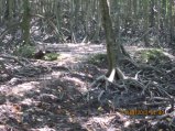 329-IMG_1858.JPG.small.jpeg