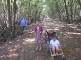 331-IMG_1860.JPG.small.jpeg
