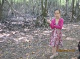 333-IMG_1862.JPG.small.jpeg