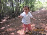 335-IMG_1865.JPG.small.jpeg