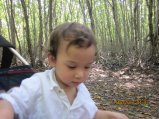 338-IMG_1869.JPG.small.jpeg