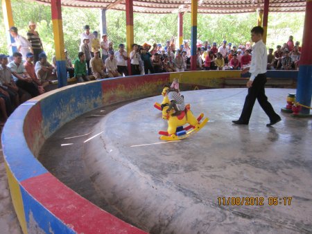 342-IMG_1875.JPG.medium.jpeg