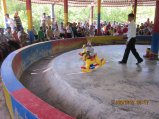 342-IMG_1875.JPG.small.jpeg