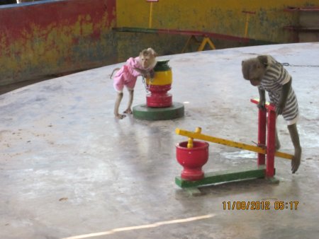 343-IMG_1876.JPG.medium.jpeg