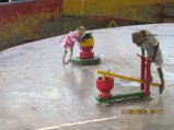343-IMG_1876.JPG.small.jpeg