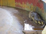 344-IMG_1877.JPG.small.jpeg
