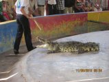 345-IMG_1878.JPG.small.jpeg