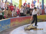346-IMG_1879.JPG.small.jpeg