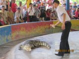 347-IMG_1880.JPG.small.jpeg