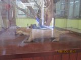 355-IMG_1897.JPG.small.jpeg
