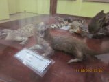356-IMG_1898.JPG.small.jpeg