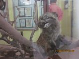 358-IMG_1900.JPG.small.jpeg