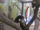 359-IMG_1901.JPG.small.jpeg
