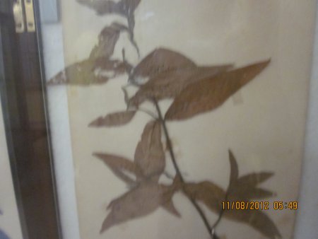 363-IMG_1905.JPG.medium.jpeg
