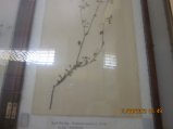 364-IMG_1906.JPG.small.jpeg