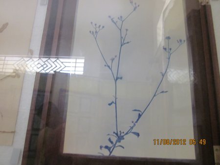 365-IMG_1907.JPG.medium.jpeg