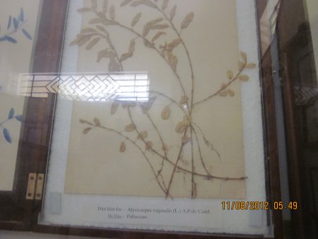 366-IMG_1908.JPG.medium.jpeg