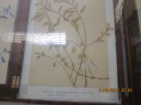 366-IMG_1908.JPG.small.jpeg