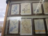 368-IMG_1910.JPG.small.jpeg