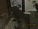 370-IMG_1912.JPG.small.jpeg
