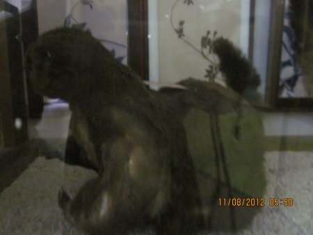 371-IMG_1913.JPG.medium.jpeg
