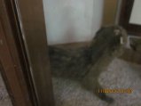 373-IMG_1915.JPG.small.jpeg