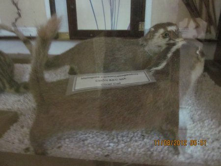 375-IMG_1918.JPG.medium.jpeg