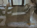 375-IMG_1918.JPG.small.jpeg