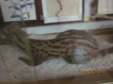 376-IMG_1919.JPG.small.jpeg