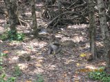 377-IMG_1920.JPG.small.jpeg