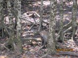 378-IMG_1921.JPG.small.jpeg
