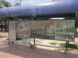 379-IMG_1922.JPG.small.jpeg