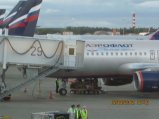 412-IMG_1966.JPG.small.jpeg