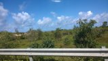 407-WP_20150815_09_37_23_Pro.jpg.small.jpeg