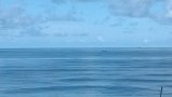 420-WP_20150815_09_49_57_Pro.jpg.small.jpeg
