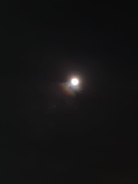 ../previews/245-IMG_20230802_220005.jpg.medium.jpeg