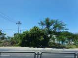 ../thumbnails/020-20230806_110453.jpg.small.jpeg