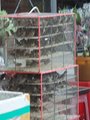 ../thumbnails/022-20230807_174404.jpg.small.jpeg