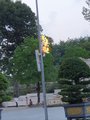 ../thumbnails/024-20230807_175356.jpg.small.jpeg