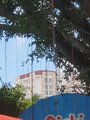 ../thumbnails/030-20230812_103441.jpg.small.jpeg